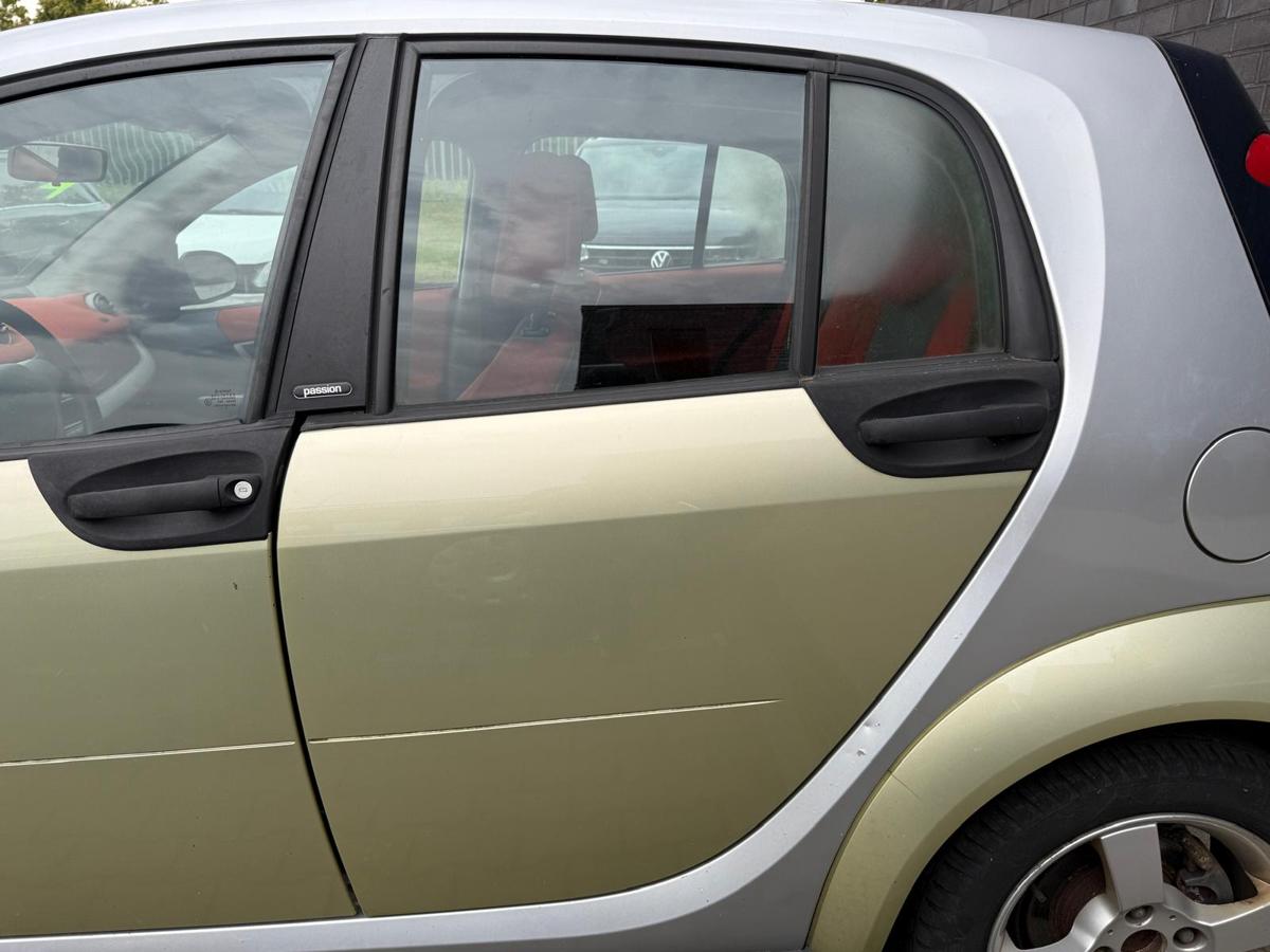 Smart ForFour 454 original Tür hinten links EAR Melon Green Rohbau BJ05